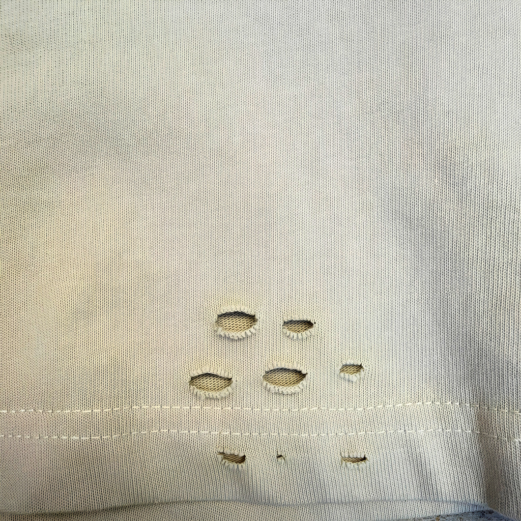 limen distressed boxy tee