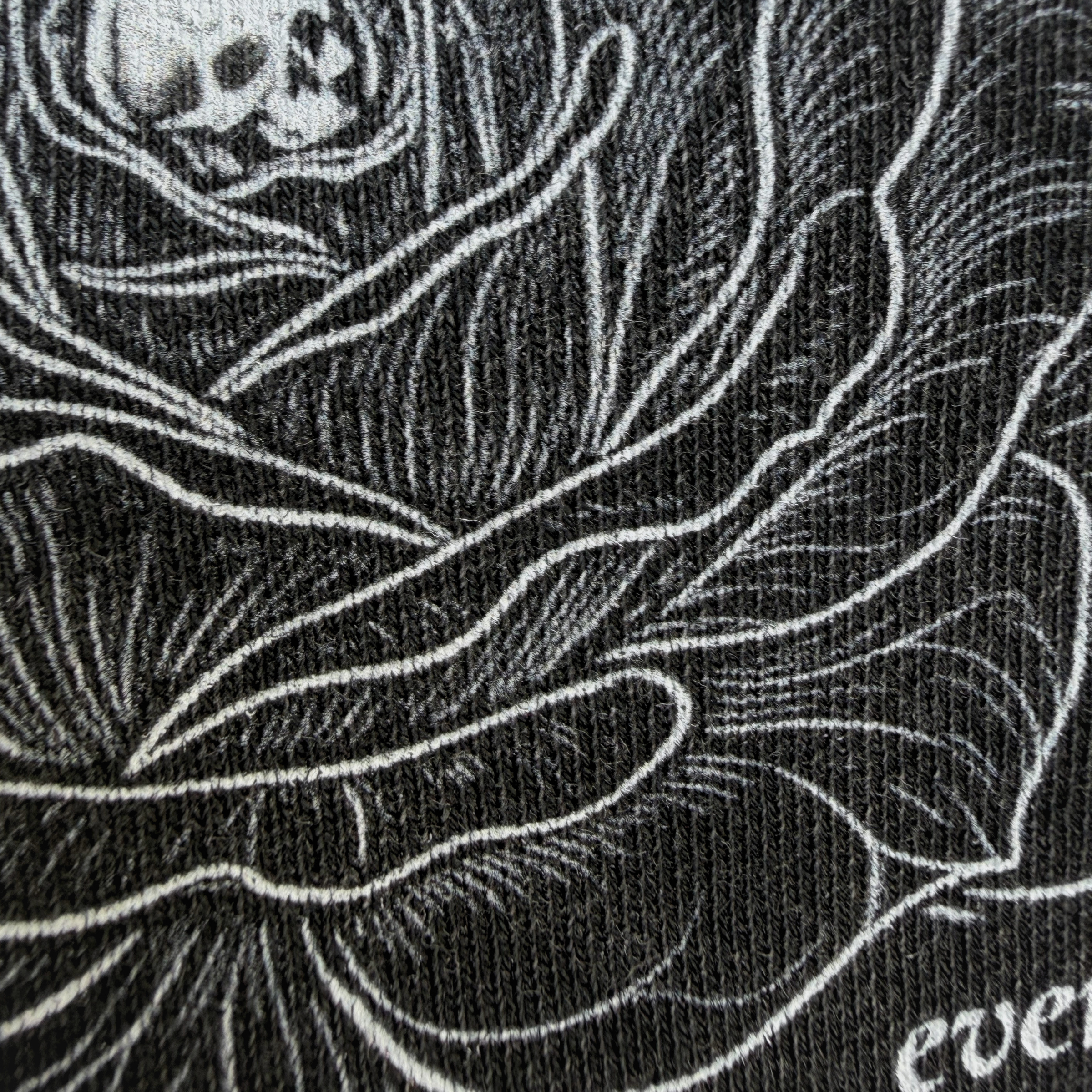 Black and white illustration of a skull within a rose on a textured black background.